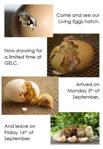 Living Eggs